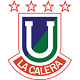 Team logo